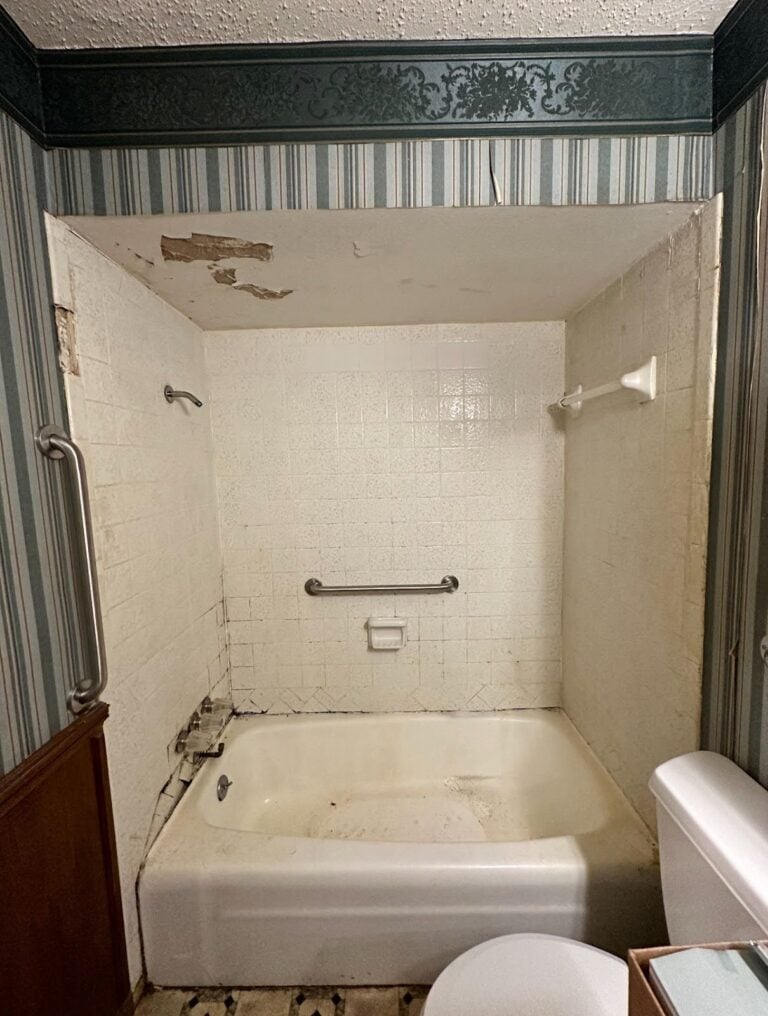Before photo. Before a remodel, this tub and shower combo looks outdated and appears to have mold in grout between tiles