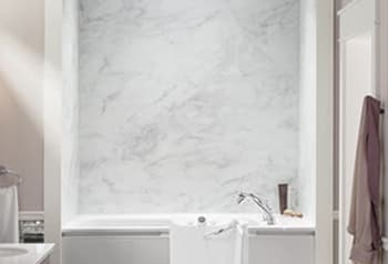 Photo of an empty walk in tub with the door open