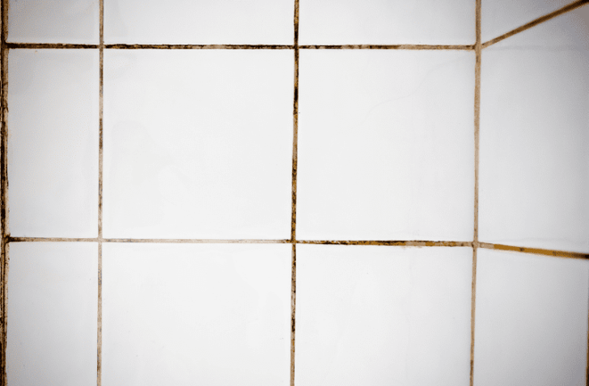 tileshower