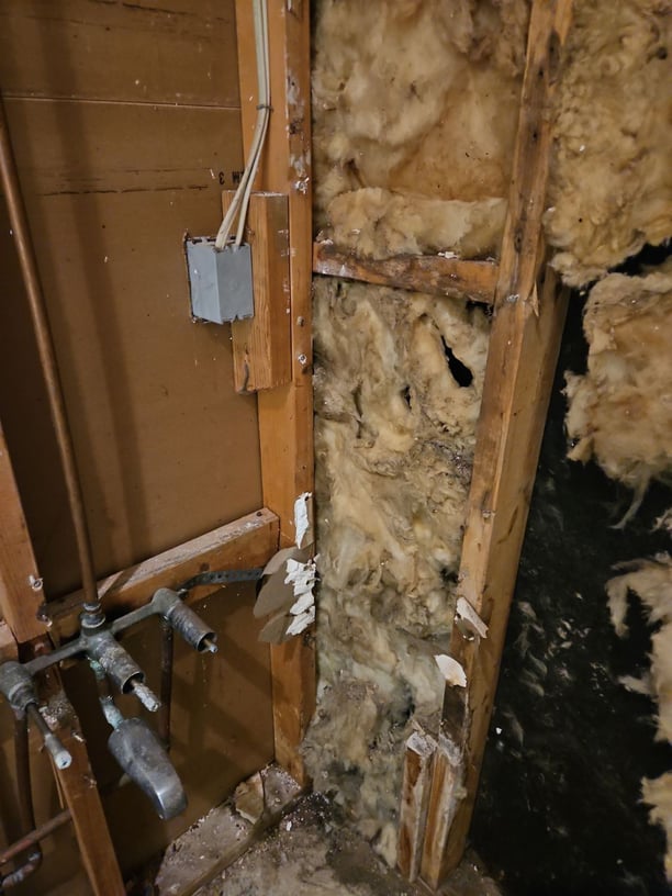 Water damage behind a shower wall