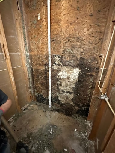 Water damage behind an old shower wall