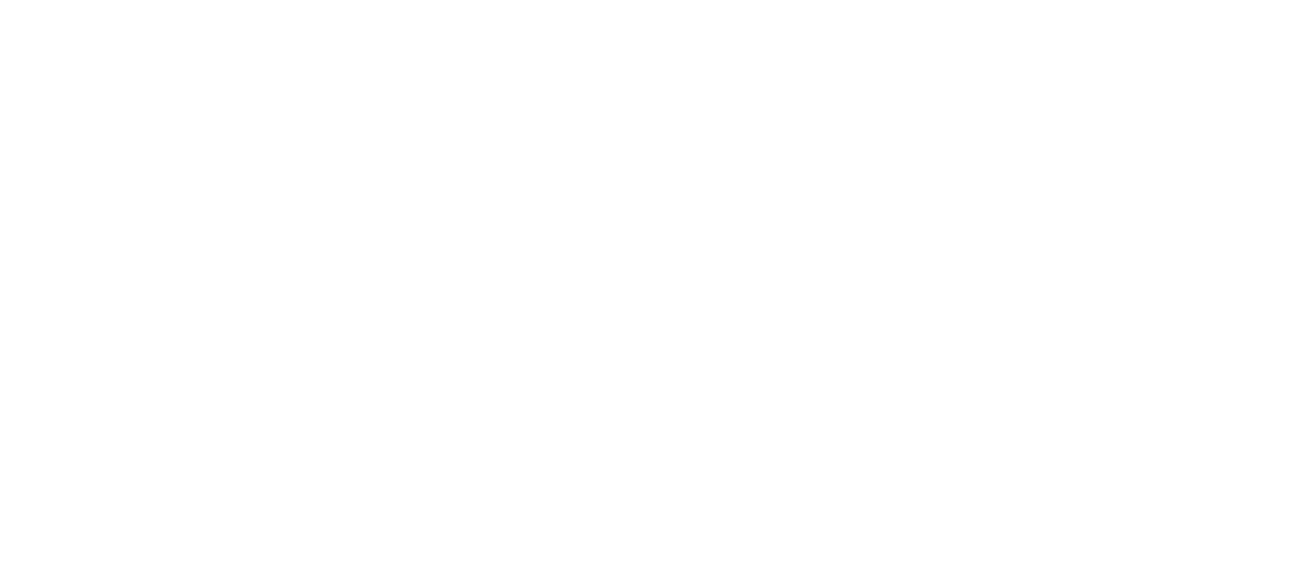 Zintex remodeling group Logo_Reverse (1)-1